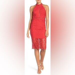 Bardot Gemma Halter Lace Sheath Dress 6